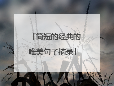 简短的经典的唯美句子摘录