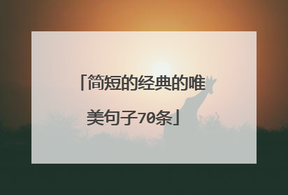简短的经典的唯美句子70条