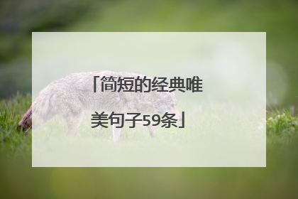 简短的经典唯美句子59条