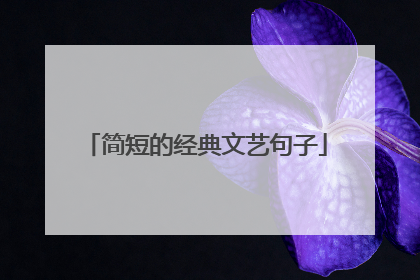 简短的经典文艺句子