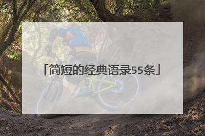 简短的经典语录55条