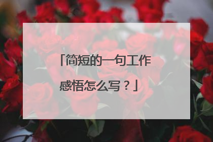简短的一句工作感悟怎么写？