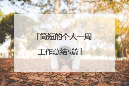 简短的个人一周工作总结5篇