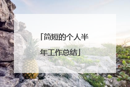 简短的个人半年工作总结