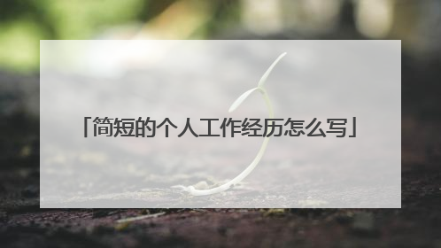 简短的个人工作经历怎么写