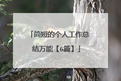 简短的个人工作总结万能【6篇】