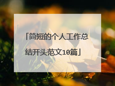 简短的个人工作总结开头范文10篇