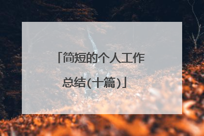 简短的个人工作总结(十篇)