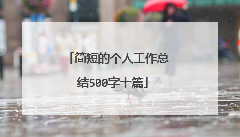 简短的个人工作总结500字十篇