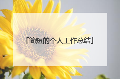 简短的个人工作总结