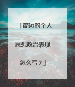 简短的个人思想政治表现怎么写?