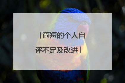 简短的个人自评不足及改进