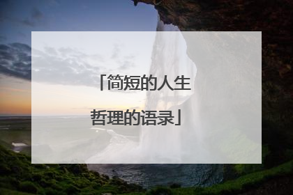 简短的人生哲理的语录