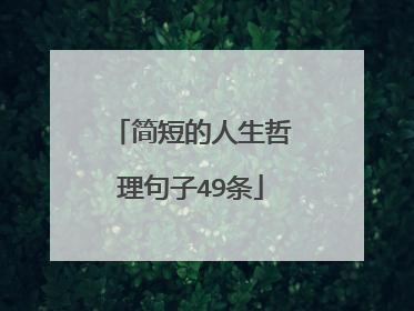 简短的人生哲理句子49条