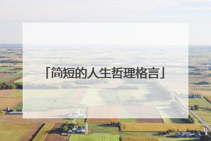 简短的人生哲理格言