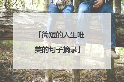 简短的人生唯美的句子摘录