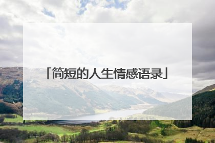 简短的人生情感语录