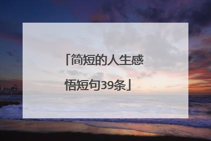 简短的人生感悟短句39条