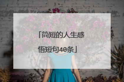 简短的人生感悟短句40条