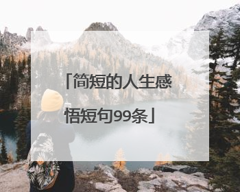 简短的人生感悟短句99条