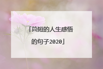 简短的人生感悟的句子2020
