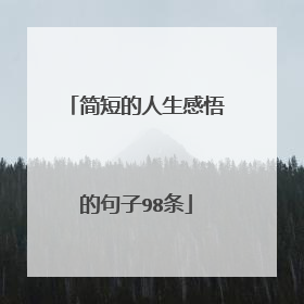 简短的人生感悟的句子98条