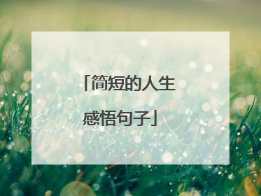 简短的人生感悟句子
