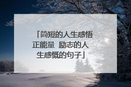 简短的人生感悟正能量 励志的人生感慨的句子