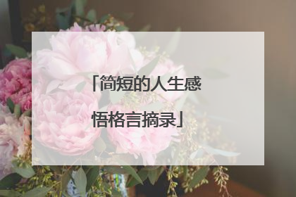 简短的人生感悟格言摘录