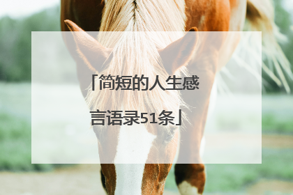 简短的人生感言语录51条