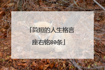 简短的人生格言座右铭80条