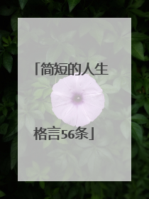 简短的人生格言56条