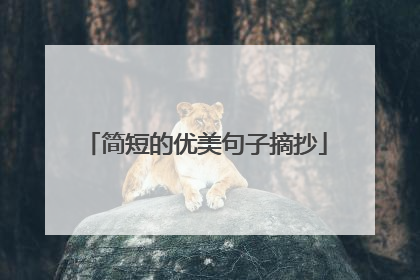 简短的优美句子摘抄