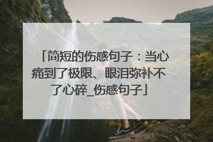 简短的伤感句子:当心痛到了极限、眼泪弥补不了心碎_伤感句子