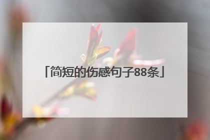 简短的伤感句子88条