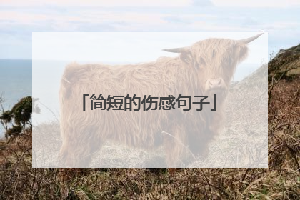 简短的伤感句子