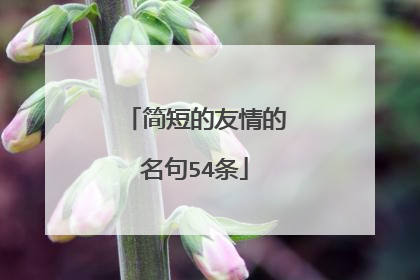 简短的友情的名句54条