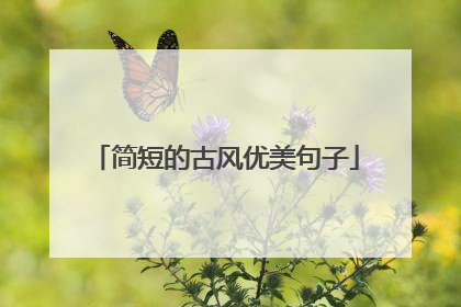 简短的古风优美句子