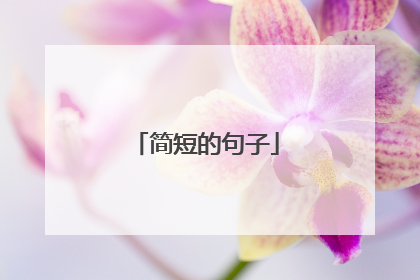 简短的句子