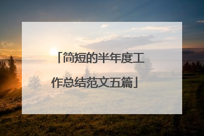简短的半年度工作总结范文五篇