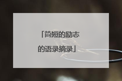 简短的励志的语录摘录