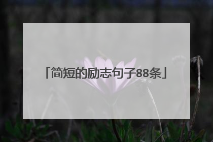 简短的励志句子88条
