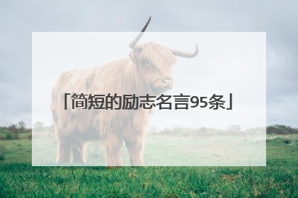 简短的励志名言95条