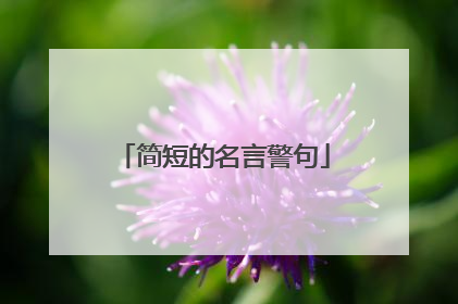简短的名言警句
