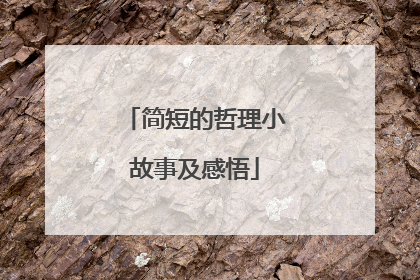 简短的哲理小故事及感悟