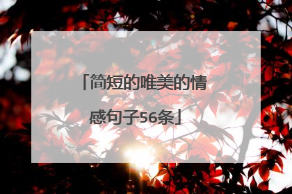 简短的唯美的情感句子56条