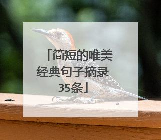 简短的唯美经典句子摘录35条