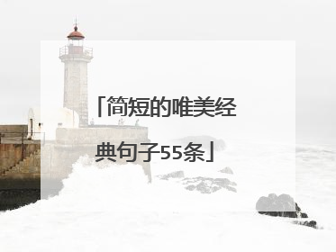 简短的唯美经典句子55条