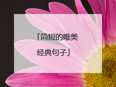 简短的唯美经典句子