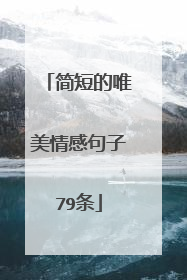 简短的唯美情感句子79条